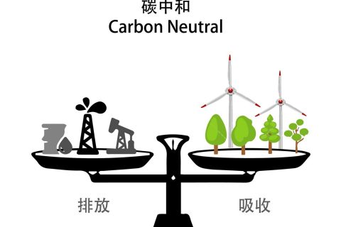 落实双碳行动 共建漂亮家园——亚洲必赢国际437app“双碳”允许